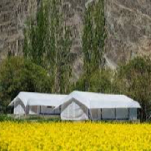 Magpie Camp Ladakh