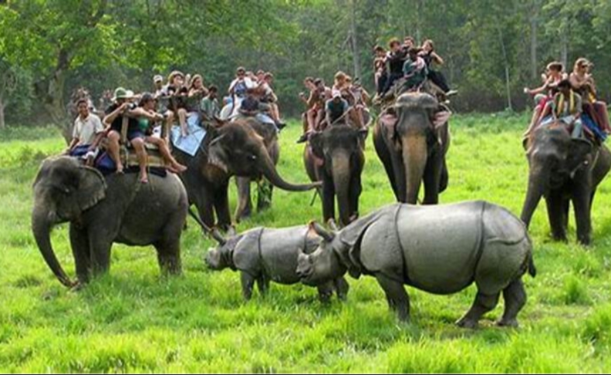 Kaziranga National Park (Guwahati)