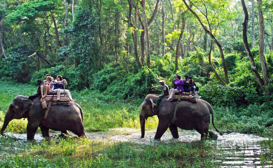 Chit wan Nepal