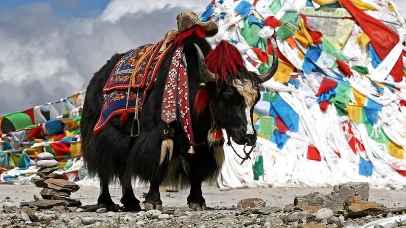 Day 2 Gangtok to Tsomgo Lake, Nathula & Baba Mandir - Excursion