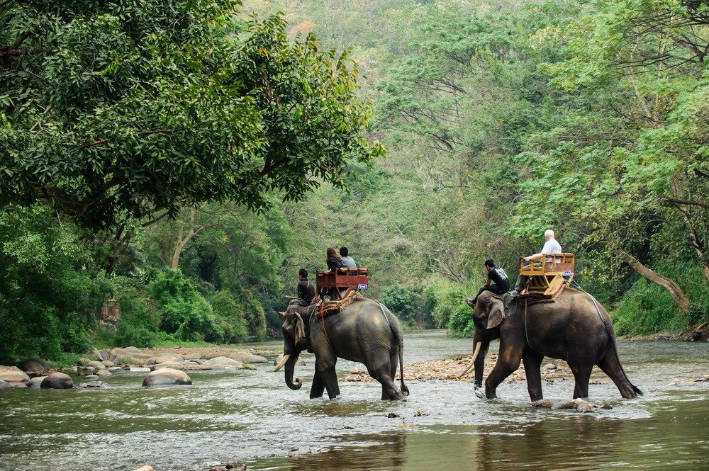 Day 1 Bagdogra Airport/ NJP Railway Station to Phuentsholing - Transfer and sightseeing