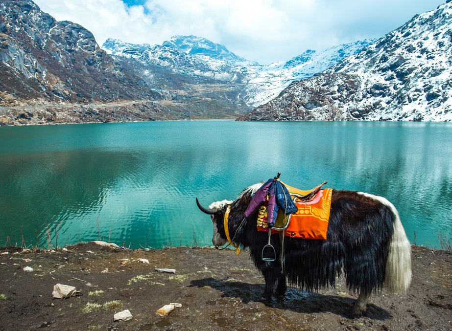 Day 2 Gangtok to Tsomgo Lake & Baba Mandir , Nathula - Excursion